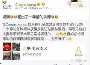 宝娃节目爆料最新消息今天