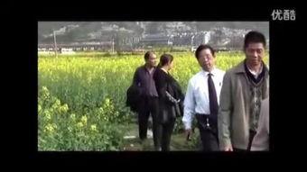 园丁爆料最新视频,园艺界的秘密与惊喜